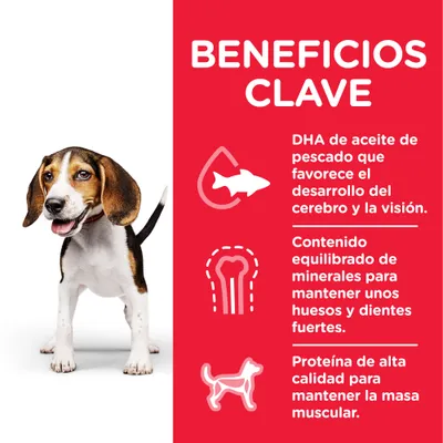 Beneficios clave: DHA de aceite de pescado para el desarrollo cerebral y visual, minerales equilibrados para huesos y dientes fuertes, proteína de alta calidad para la masa muscular.