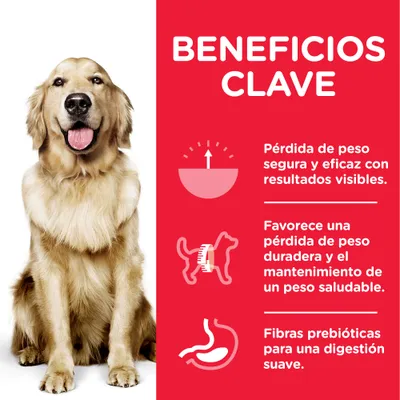 Beneficios clave: pérdida de peso segura y eficaz, favorece mantenimiento de peso saludable, fibras prebióticas para digestión suave. Texto en español junto a perro sentado.