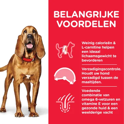 BELANGRIJKE VOORDELEN: Weinig calorieën & L-carnitine bevorderen ideaal lichaamsgewicht. Verzadigingscontrole tussen maaltijden. Omega 6-vetzuren en vitamine E voor huid en vacht.