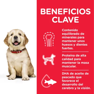 Beneficios clave: minerales para huesos y dientes fuertes, proteína de alta calidad para masa muscular, DHA de aceite de pescado para desarrollo cerebral y visión. Texto en español.