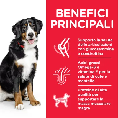 Benefici principali: supporto articolazioni con glucosamina e condroitina, Omega-6 e vitamina E per cute e mantello, proteine di alta qualità per massa muscolare magra.