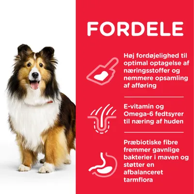 FORDELE: Høj fordøjelighed til optimal optagelse af næringsstoffer og nemmere opsamling af afføring. E-vitamin og Omega-6 fedtsyrer til næring af huden. Præbiotiske fibre fremmer tarmflora.