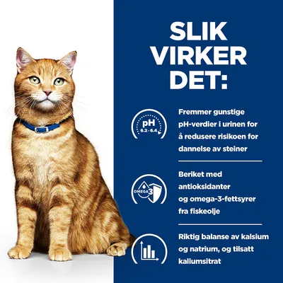 Hill´s Prescription Diet c/d Urinary Care ragu med kylling