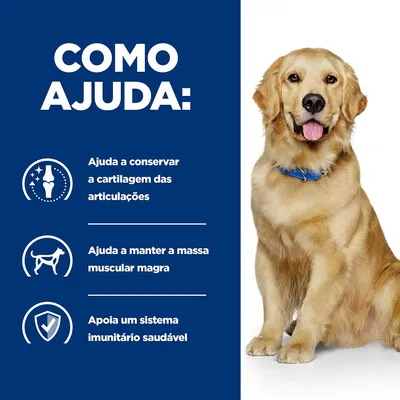 Texto: Como ajuda. Ajuda a conservar a cartilagem das articulações, ajuda a manter a massa muscular magra, apoia um sistema imunitário saudável. Imagem de cão castanho com coleira azul.