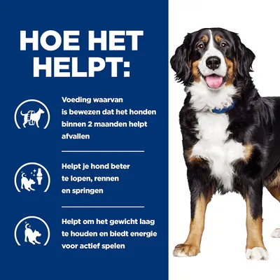 HOE HET HELPT: Voeding waarvan is bewezen dat het honden binnen 2 maanden helpt afvallen. Helpt je hond beter te lopen, rennen en springen. Helpt om het gewicht laag te houden en biedt energie.