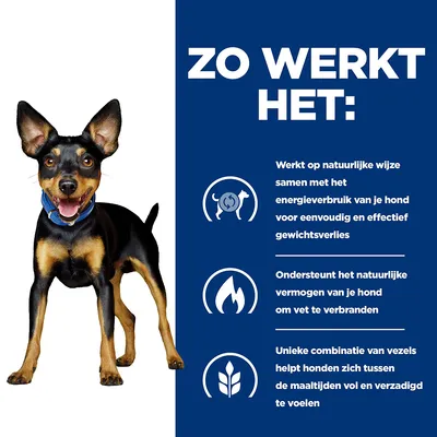 Infografik mit Hund und niederländischem Text: Unterstützt natürlichen Energieverbrauch für Gewichtsverlust, hilft beim Fettverbrennen, Ballaststoffe sorgen für Sättigung zwischen Mahlzeiten.