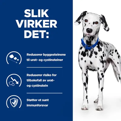 Hill's Prescription Diet u/d Urinary Care Hundefôr Original