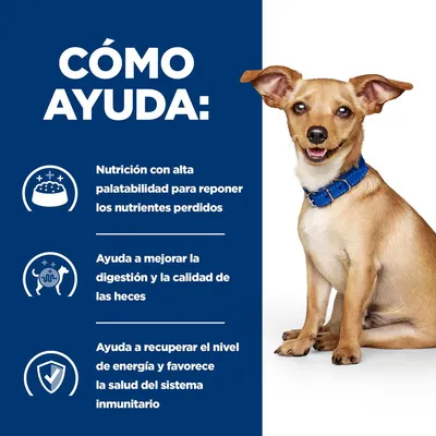 Texto: Cómo ayuda. Nutrición con alta palatabilidad para reponer los nutrientes perdidos. Ayuda a mejorar la digestión y la calidad de las heces. Favorece energía y sistema inmunitario. Texto: Cómo ayuda. Nutrición con alta palatabilidad para reponer los nutrientes perdidos. Ayuda a mejorar la digestión y la calidad de las heces. Favorece energía y sistema inmunitario.