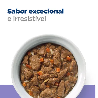 Sabor excecional e irresistível. Prato branco com comida húmida para animais, pedaços de carne e legumes visíveis.