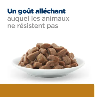 Un goût alléchant auquel les animaux ne résistent pas. Assiette blanche remplie de bouchées en sauce pour animaux.