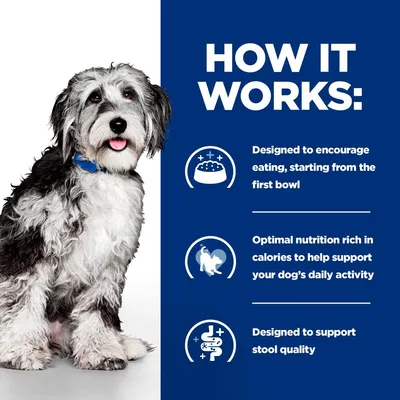 How it works: encourages eating from first bowl, provides optimal nutrition rich in calories for daily activity, and supports stool quality. Dog shown beside product benefits.