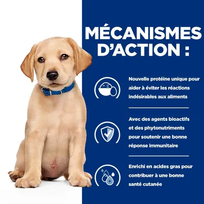 MÉCANISMES D’ACTION : nouvelle protéine unique pour éviter les réactions indésirables, agents bioactifs et phytonutriments pour l’immunité, acides gras pour la santé cutanée