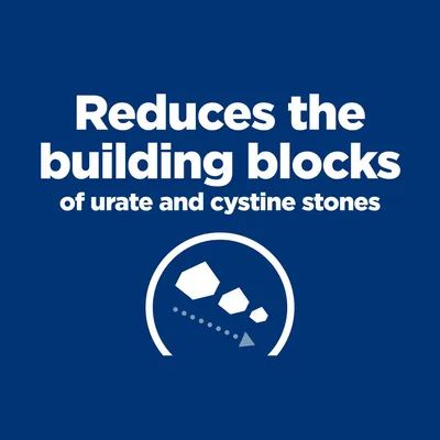 Reduces the building blocks of urate and cystine stones felirat angolul, alatta ábra kövekkel kék háttéren. A szöveg magyarul nem érhető el a képen.