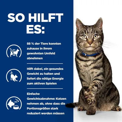 So hilft es: 88 % der Tiere konnten zuhause in ihrem gewohnten Umfeld abnehmen. Hilft, ein gesundes Gewicht zu halten und liefert Energie zum Spielen. Katzen nehmen ab ohne starke Portionsreduktion.