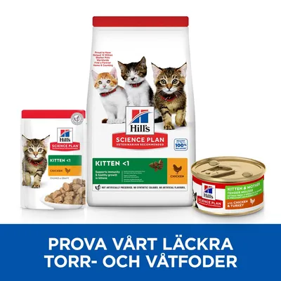 Hill's Science Plan Kitten <1 torrfoder och våtfoder med kyckling, förpackningar med kattungar på. Text: Prova vårt läckra torr- och våtfoder.
