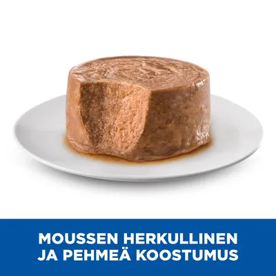 Moussen herkullinen ja pehmeä koostumus