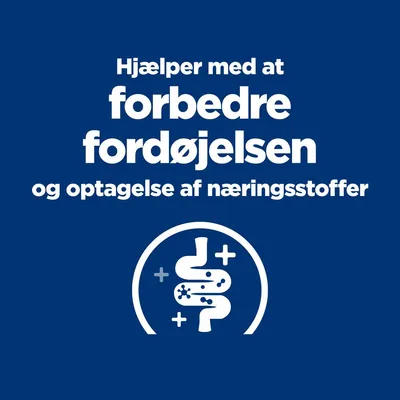 Hjælper med at forbedre fordøjelsen og optagelse af næringsstoffer. Illustration af mave-tarmkanal med plus-tegn.