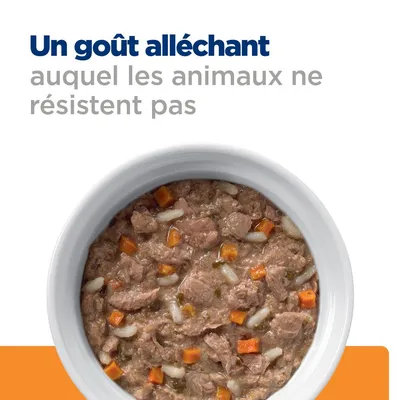 Texte visible : « Un goût alléchant auquel les animaux ne résistent pas » au-dessus d’une gamelle blanche remplie de pâtée avec morceaux de viande, carottes et riz.
