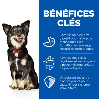 BÉNÉFICES CLÉS : bien-être digestif optimal avec technologie Hill’s ActivBiome+, selles régulières grâce aux prébiotiques, mélange d’antioxydants pour le système immunitaire. BÉNÉFICES CLÉS : bien-être digestif optimal avec technologie Hill’s ActivBiome+, selles régulières grâce aux prébiotiques, mélange d’antioxydants pour le système immunitaire.