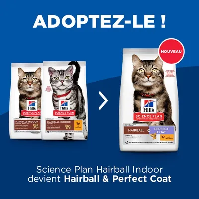 Science Plan Hairball Indoor devient Hairball & Perfect Coat. Sacs de croquettes Hill's Science Plan pour chat adulte, saveur poulet, mention Nouveau.