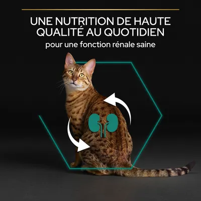 UNE NUTRITION DE HAUTE QUALITÉ AU QUOTIDIEN pour une fonction rénale saine
