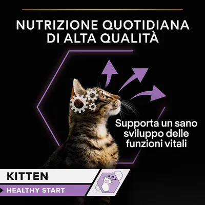 Nutrizione quotidiana di alta qualità. Supporta un sano sviluppo delle funzioni vitali. Kitten Healthy Start. Testo in inglese: Healthy Start.