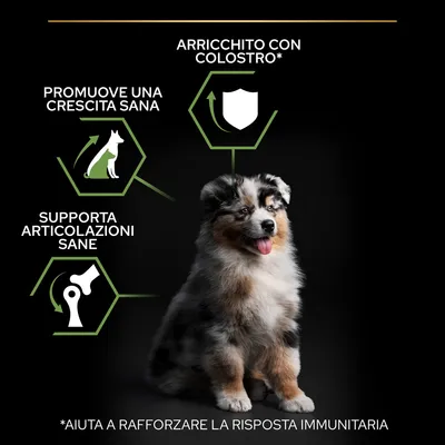 Promuove una crescita sana, supporta articolazioni sane, arricchito con colostro. Aiuta a rafforzare la risposta immunitaria. Immagine di un cucciolo di cane.