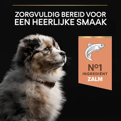 Zorgvuldig bereid voor een heerlijke smaak. Nº1 ingrediënt zalm.