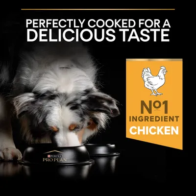 Κείμενο στα αγγλικά: Perfectly cooked for a delicious taste. N°1 ingredient chicken. Σκύλος τρώει από μπολ με το λογότυπο Purina Pro Plan.