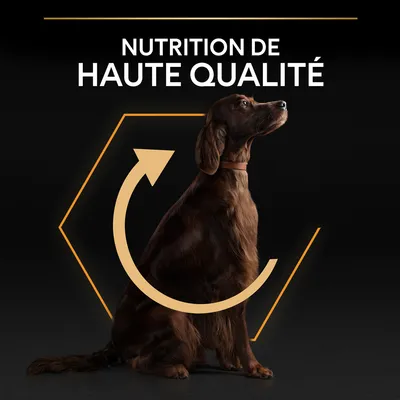 NUTRITION DE HAUTE QUALITÉ