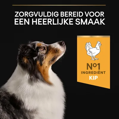 Zorgvuldig bereid voor een heerlijke smaak. Nº1 ingrediënt kip.