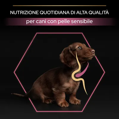 Nutrizione quotidiana di alta qualità per cani con pelle sensibile, testo su immagine con cucciolo marrone e grafica stilizzata dell'apparato digerente.