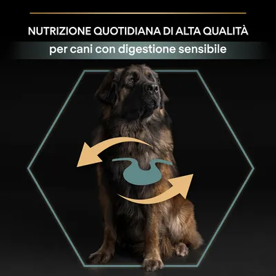 Nutrizione quotidiana di alta qualità per cani con digestione sensibile, testo visibile sopra un cane grande con simbolo stomaco e frecce sul corpo.