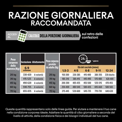 Tabella razione giornaliera raccomandata per cani: quantità in grammi secondo peso corporeo della mamma e cucciolo, età in mesi e settimane. Include istruzioni di adattamento delle dosi.