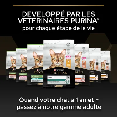 PURINA PRO PLAN, développé par les vétérinaires Purina pour chaque étape de la vie. Quand votre chat a 1 an et plus, passez à notre gamme adulte. Sacs de croquettes pour chats visibles.