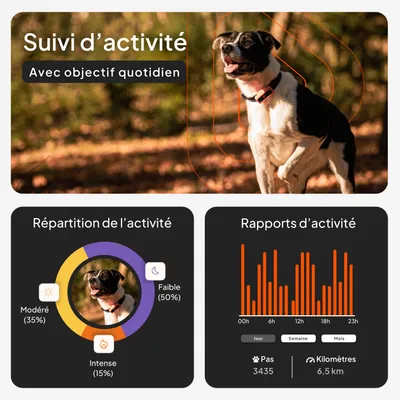 Surveillance de l’activité avec objectif quotidien, répartition de l’activité : modérée 35 %, intensive 15 %, faible 50 %. Rapports d’activité : 3 435 pas, 6,5 km. Diagrammes et statistiques visibles. Surveillance de l’activité avec objectif quotidien, répartition de l’activité : modérée 35 %, intensive 15 %, faible 50 %. Rapports d’activité : 3 435 pas, 6,5 km. Diagrammes et statistiques visibles.