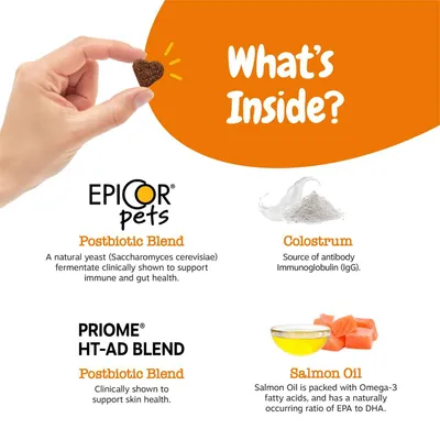 Image lists key ingredients: Epicor pets postbiotic blend for immune and gut health, colostrum with antibody IgG, Priome HT-AD blend for skin health, and salmon oil with Omega-3.