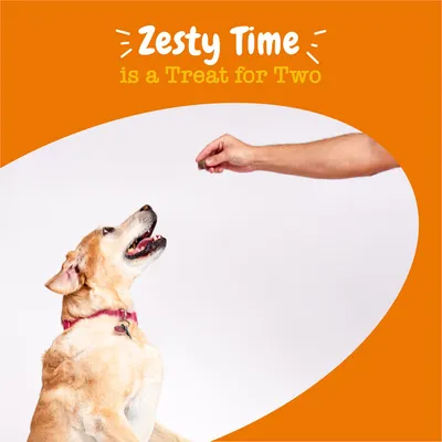 Text reads: Zesty Time is a Treat for Two. Image shows a hand offering a treat to a sitting dog, demonstrating treat giving.