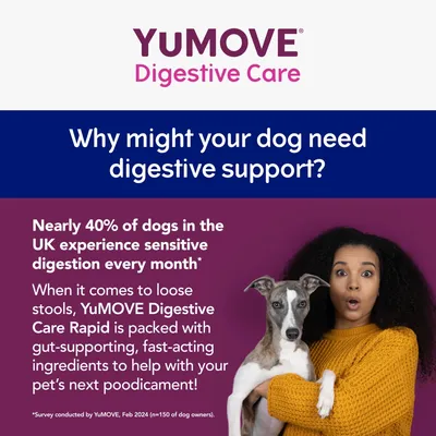 YuMOVE Digestive Care: Nearly 40% of dogs in the UK have sensitive digestion monthly. Product supports gut health and helps with loose stools using fast-acting ingredients.