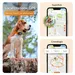 Localizzatore GPS per cani Weenect XS - senza collare