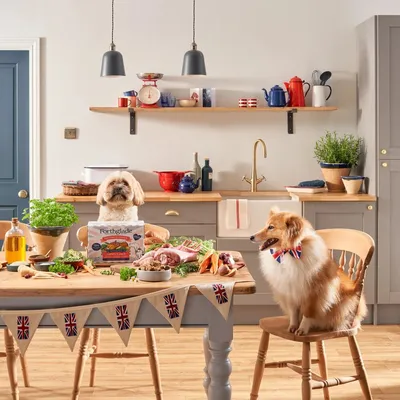 Two dogs at a kitchen table with Forthglade pet food and fresh ingredients including meat, carrots, and herbs displayed in front of them.