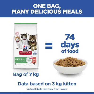Hill's Science Plan Kitten <1 lazac