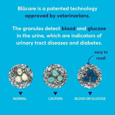 Blücare granules detect blood and glucose in urine. Image shows three results: normal, caution, and blood or glucose, indicating urinary tract disease or diabetes risk.