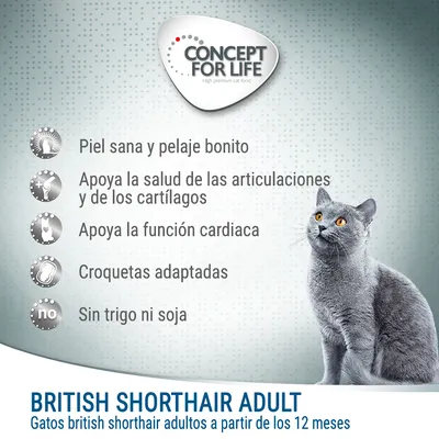 Concept for Life British Shorthair Adult. Piel sana y pelaje bonito, apoya articulaciones, función cardiaca, croquetas adaptadas, sin trigo ni soja. Para gatos adultos british shorthair.