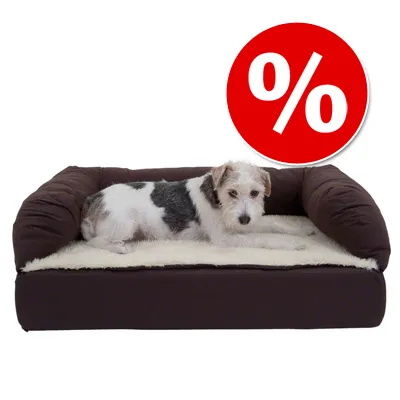 Cama rectangular marrón para perro con base acolchada beige, perro tumbado encima. Símbolo de porcentaje en círculo rojo indica oferta o descuento.