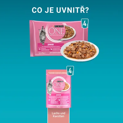 Purina ONE Junior kapsička pro koťata, 85 g, vyobrazený obsah na talíři, varianta Lachs und Karotten. Balení po 4 kusech.