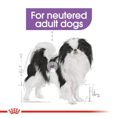 For neutered adult dogs