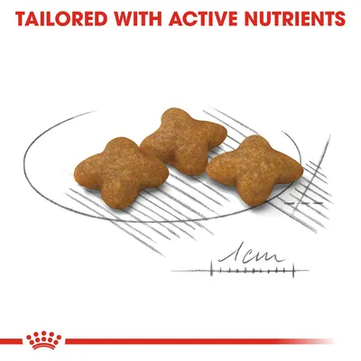 Three star-shaped kibble pieces beside a 1 cm scale, with text above: TAILORED WITH ACTIVE NUTRIENTS.