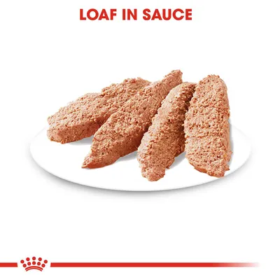 Sliced loaf in sauce shown on a white plate, demonstrating the texture and form of the product.