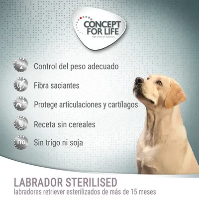 Concept for Life Labrador Sterilised: control del peso, fibra saciante, protege articulaciones y cartílagos, receta sin cereales, sin trigo ni soja. Para labradores esterilizados +15 meses.